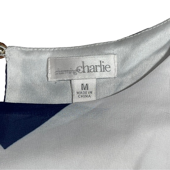 Charming Charlie size medium navy blue & white silky thin chevron pattern dress - Picture 9 of 9